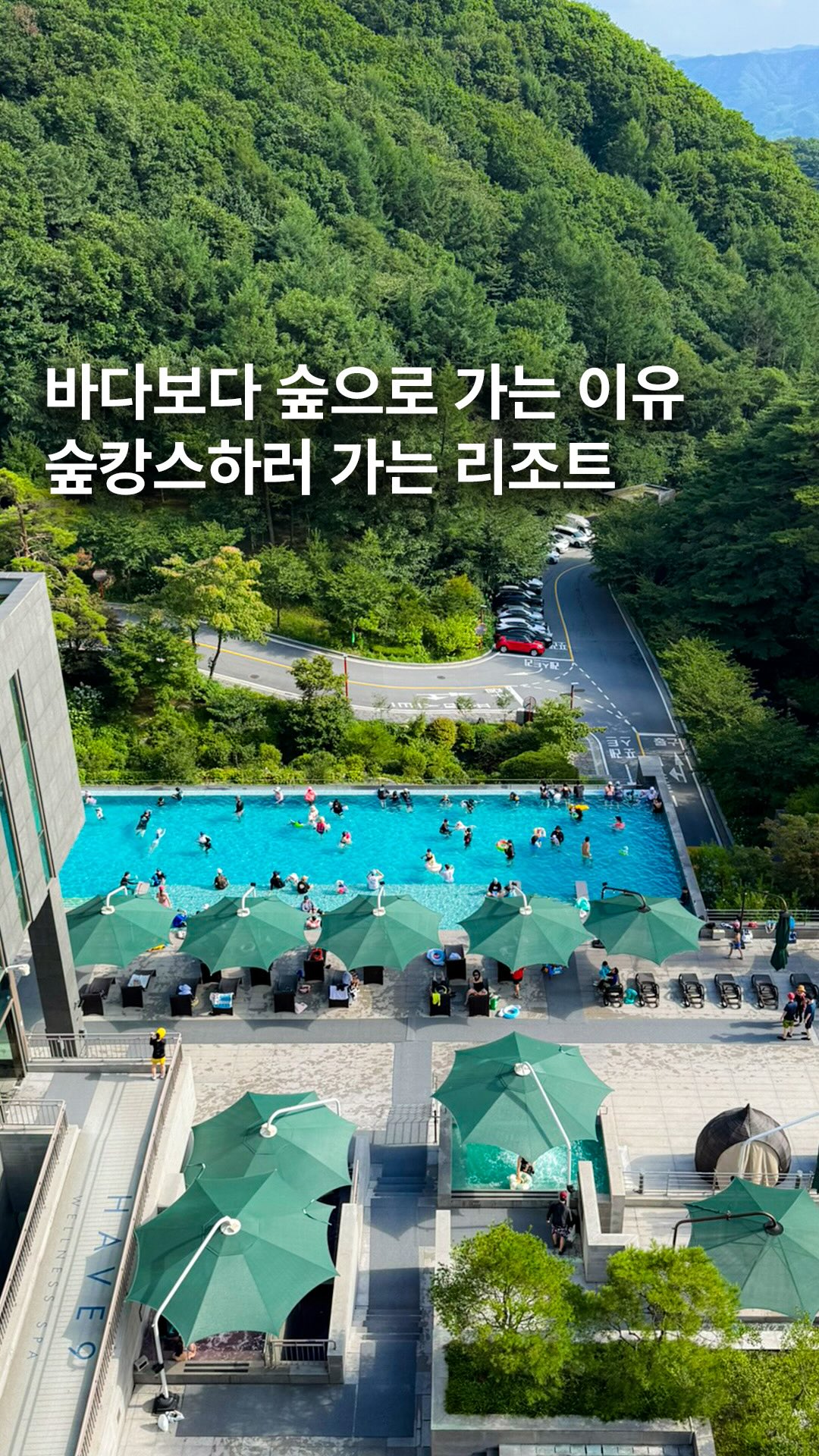 Forest Resorts Offer Refreshing Nature Escapes