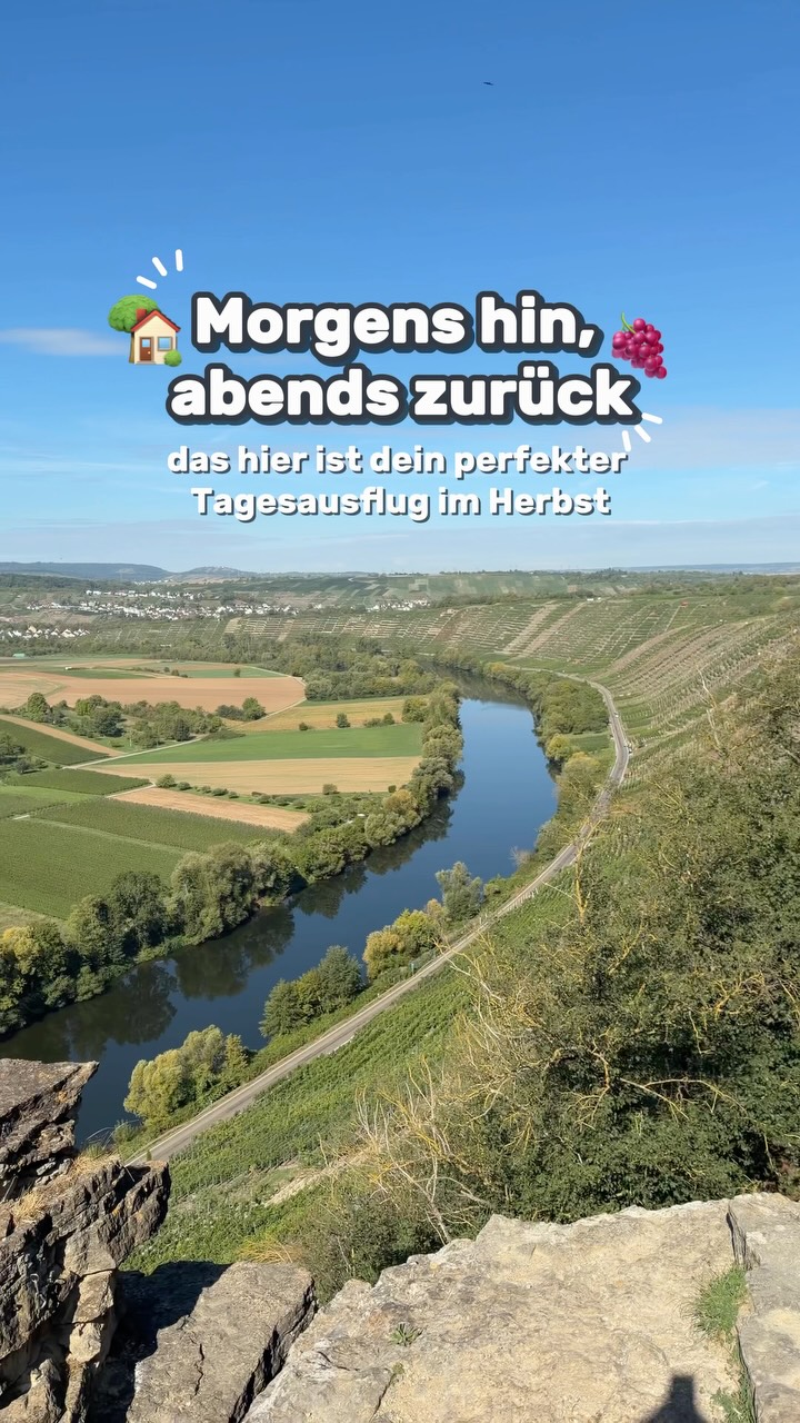 Town and Rock Gardens in Besigheim