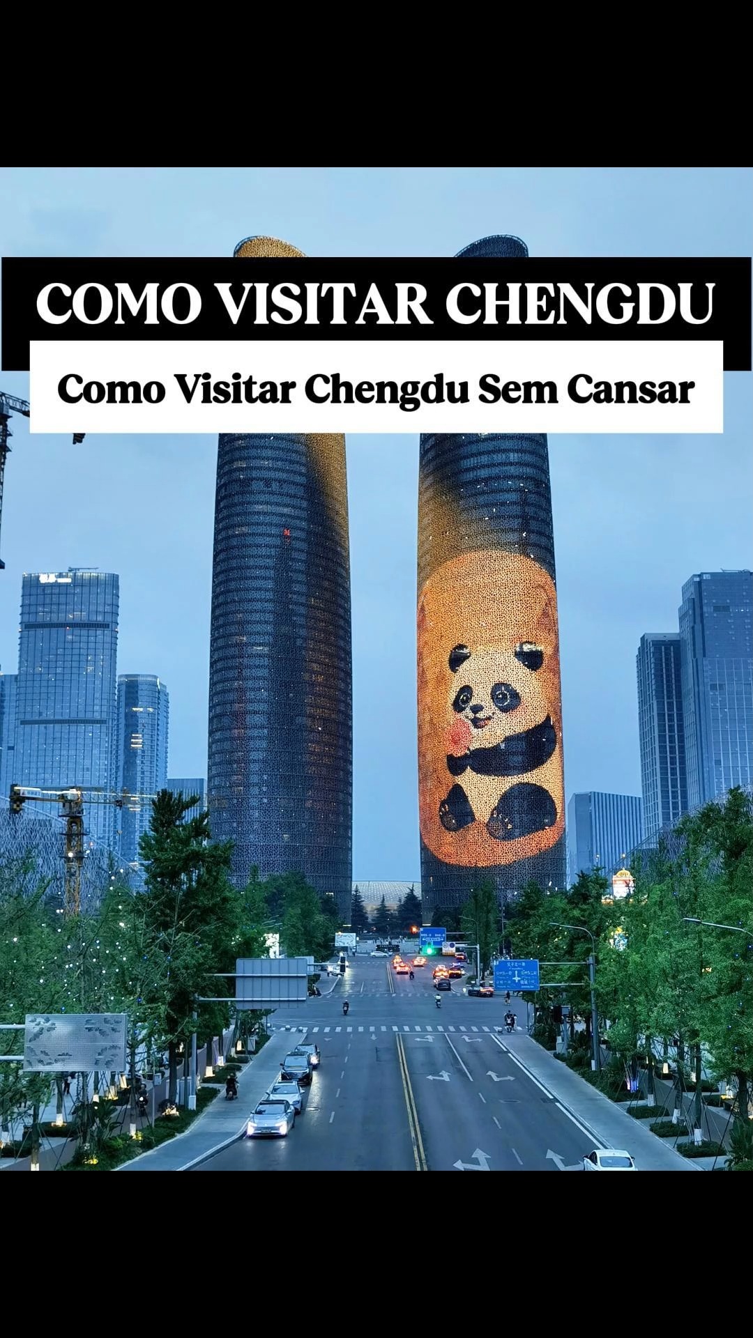 Chengdu's Top Panda Sanctuaries, Gardens, and Shopping