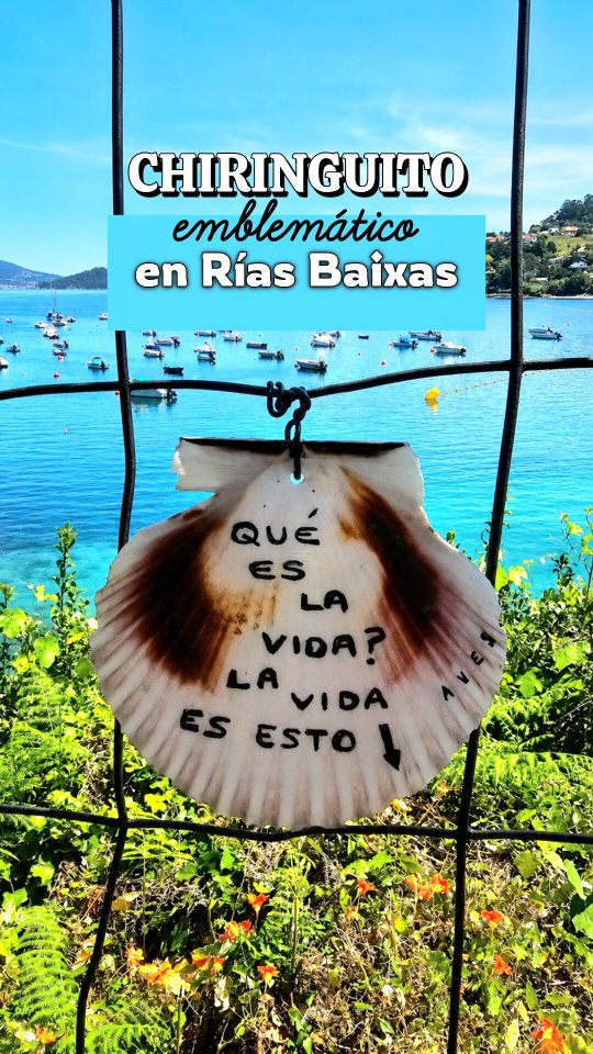 Seaside Dining: Galician Tapas and Beachfront Views