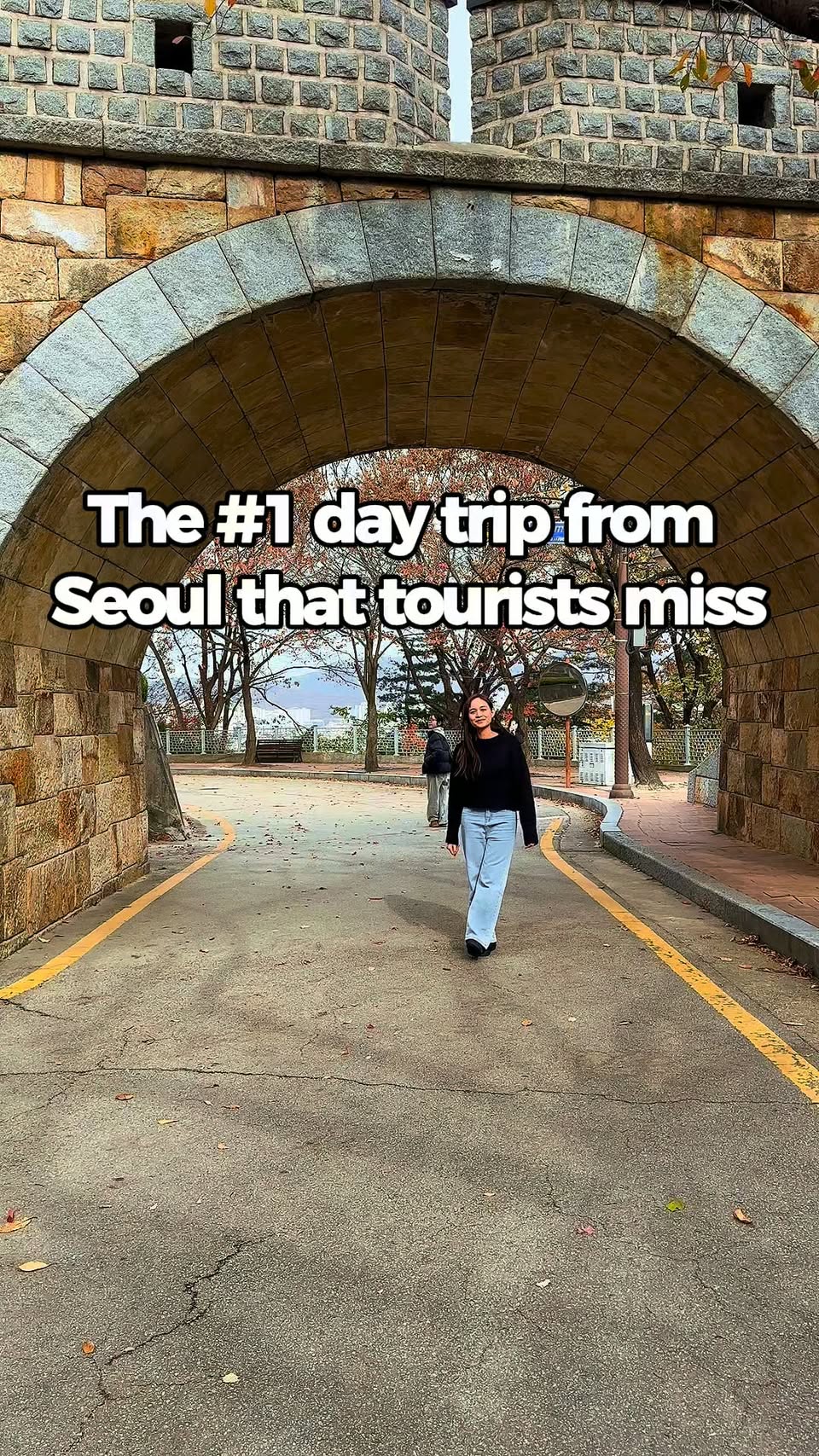 Suwon Attractions: Fortress, Library, and More