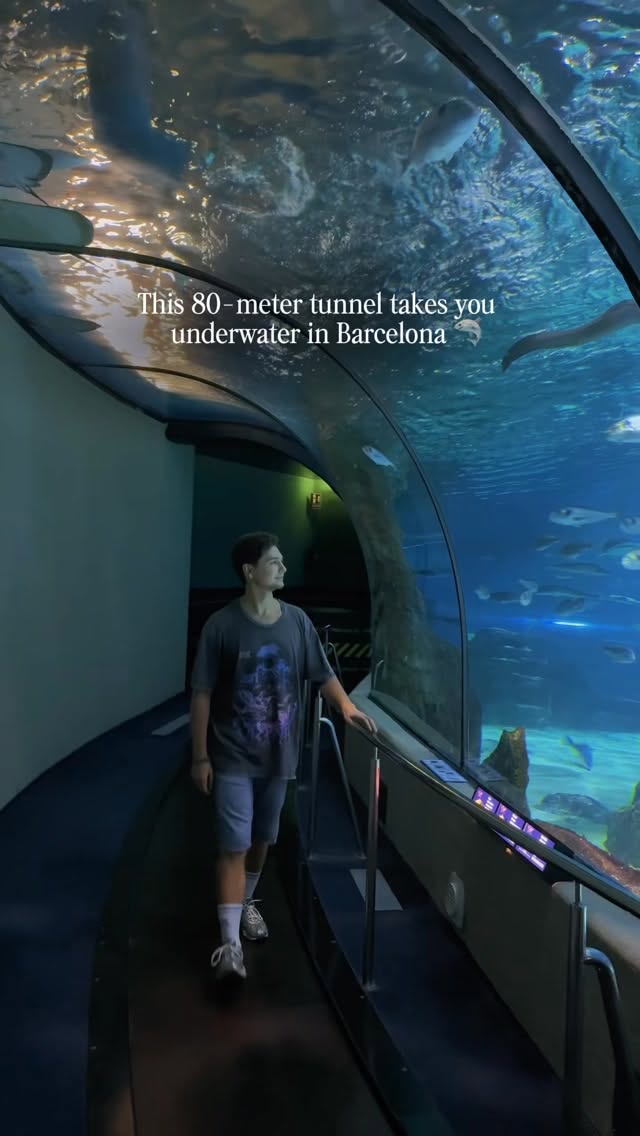Barcelona Aquarium's Immersive Underwater Tunnel