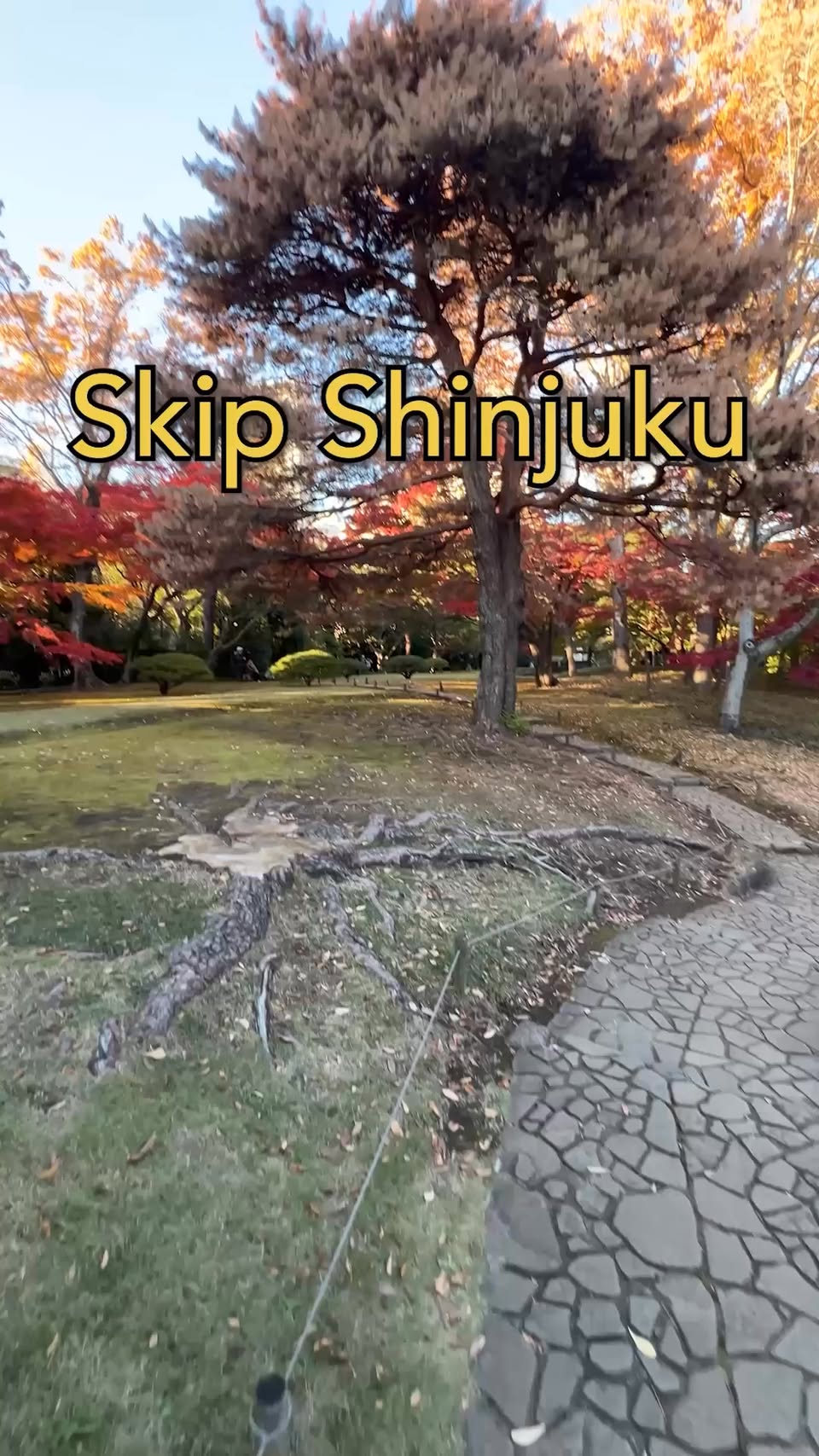 Tokyo Gardens and Scenic Autumn Views
