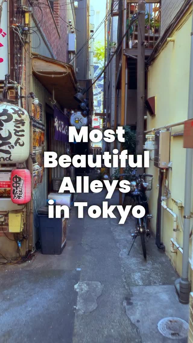 Atmospheric Tokyo Yokocho Alleys