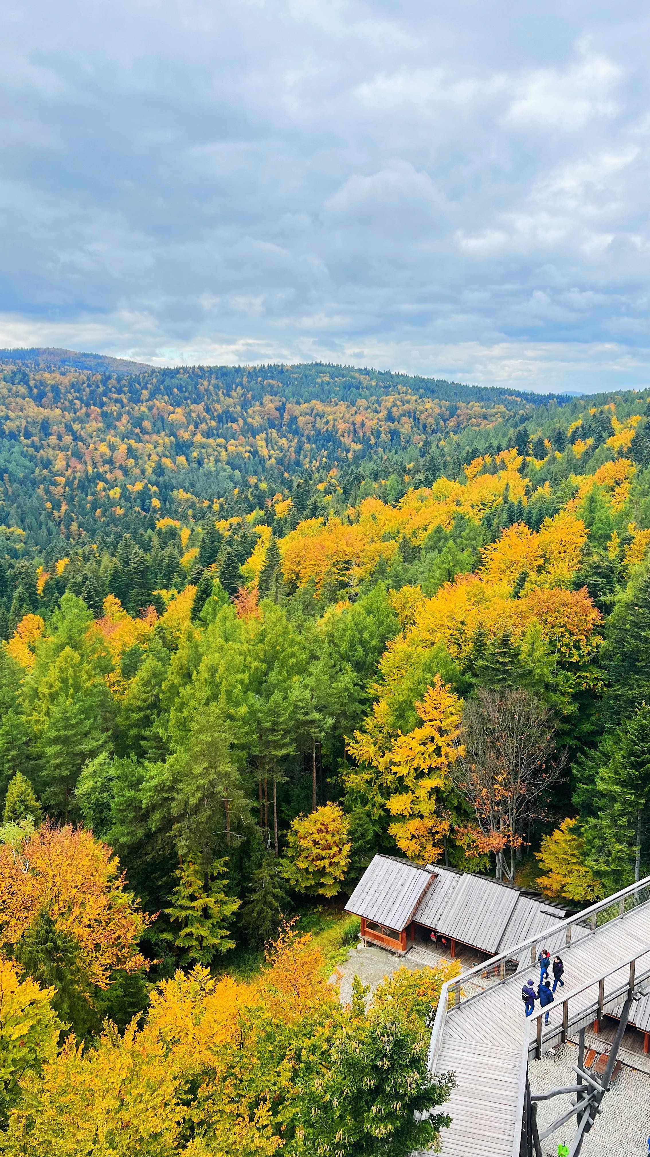 Krynica Zdrój Observation Tower Offers Scenic Views