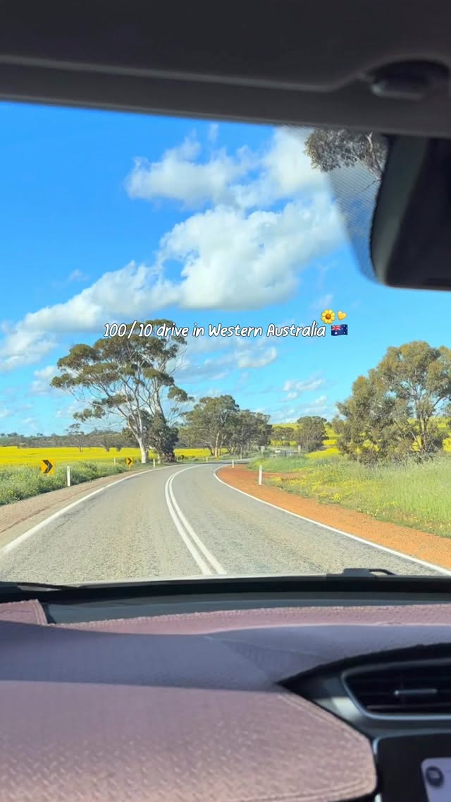 Canola Fields Drive Near Perth