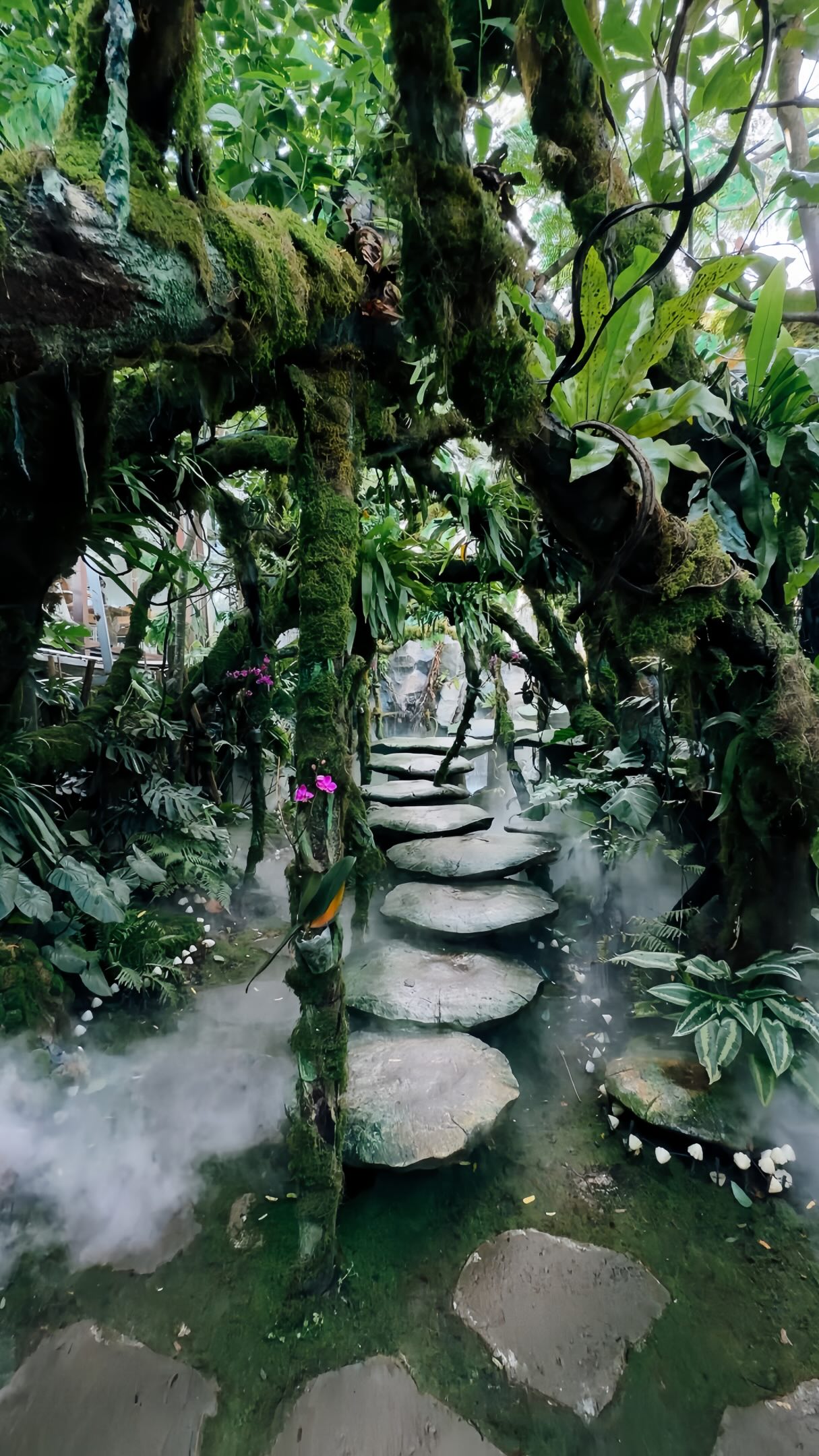Unique Cafes Across Vietnam