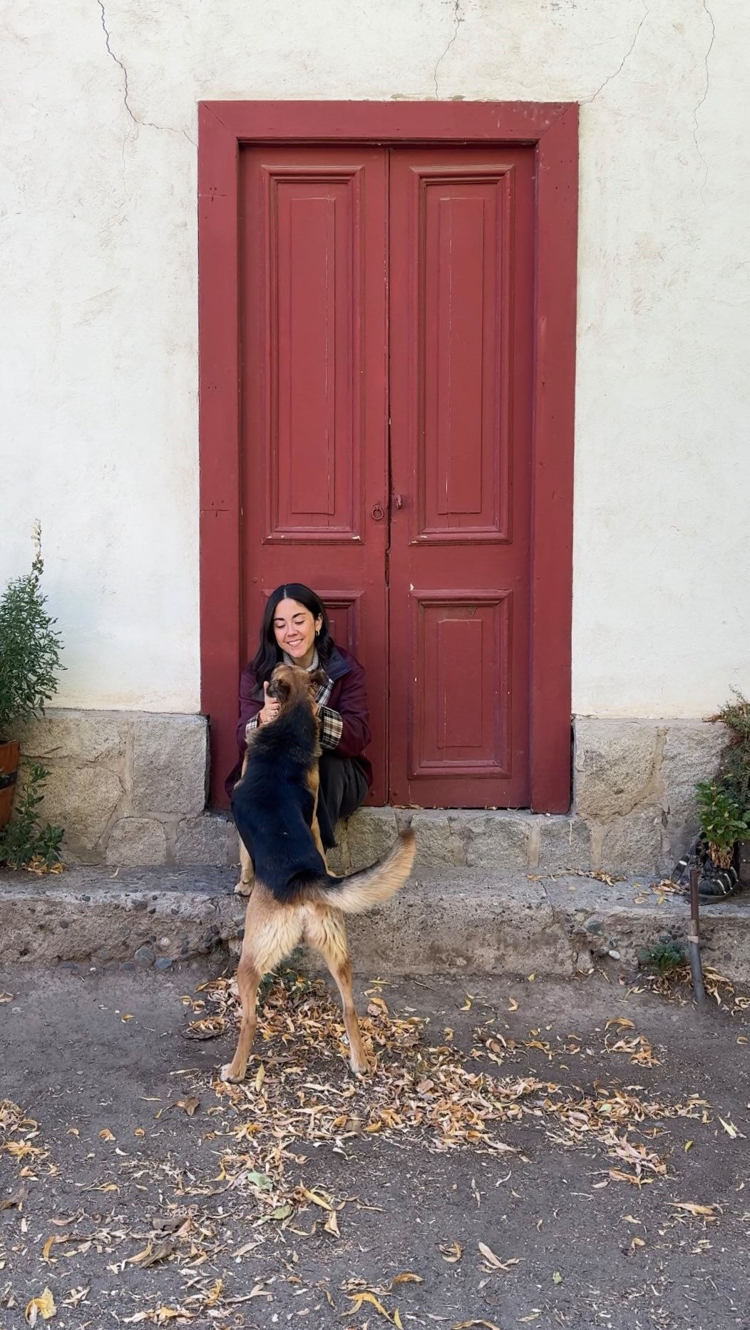 Discover Aconcagua Valley's Hidden Gems Near Santiago