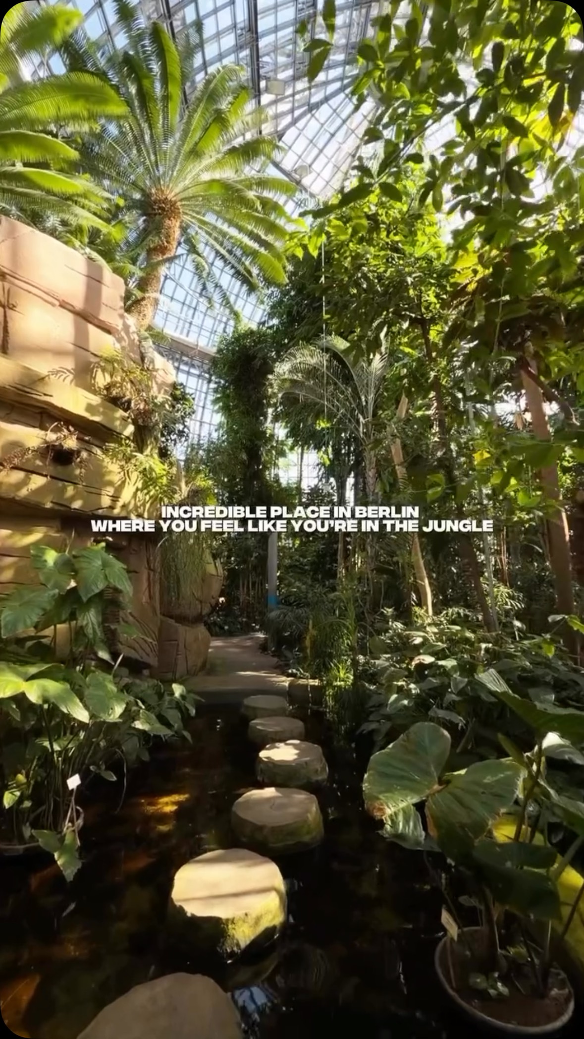 Berlin's Tropical Oasis: Botanical Garden