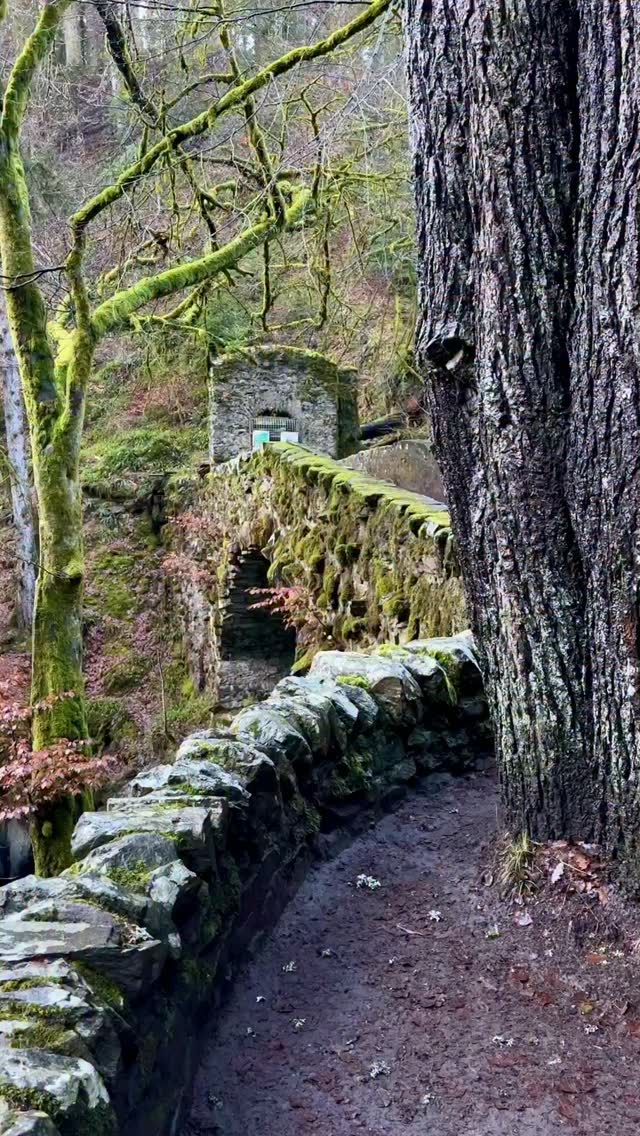 Woodland Gardens and Waterfalls in Scotland