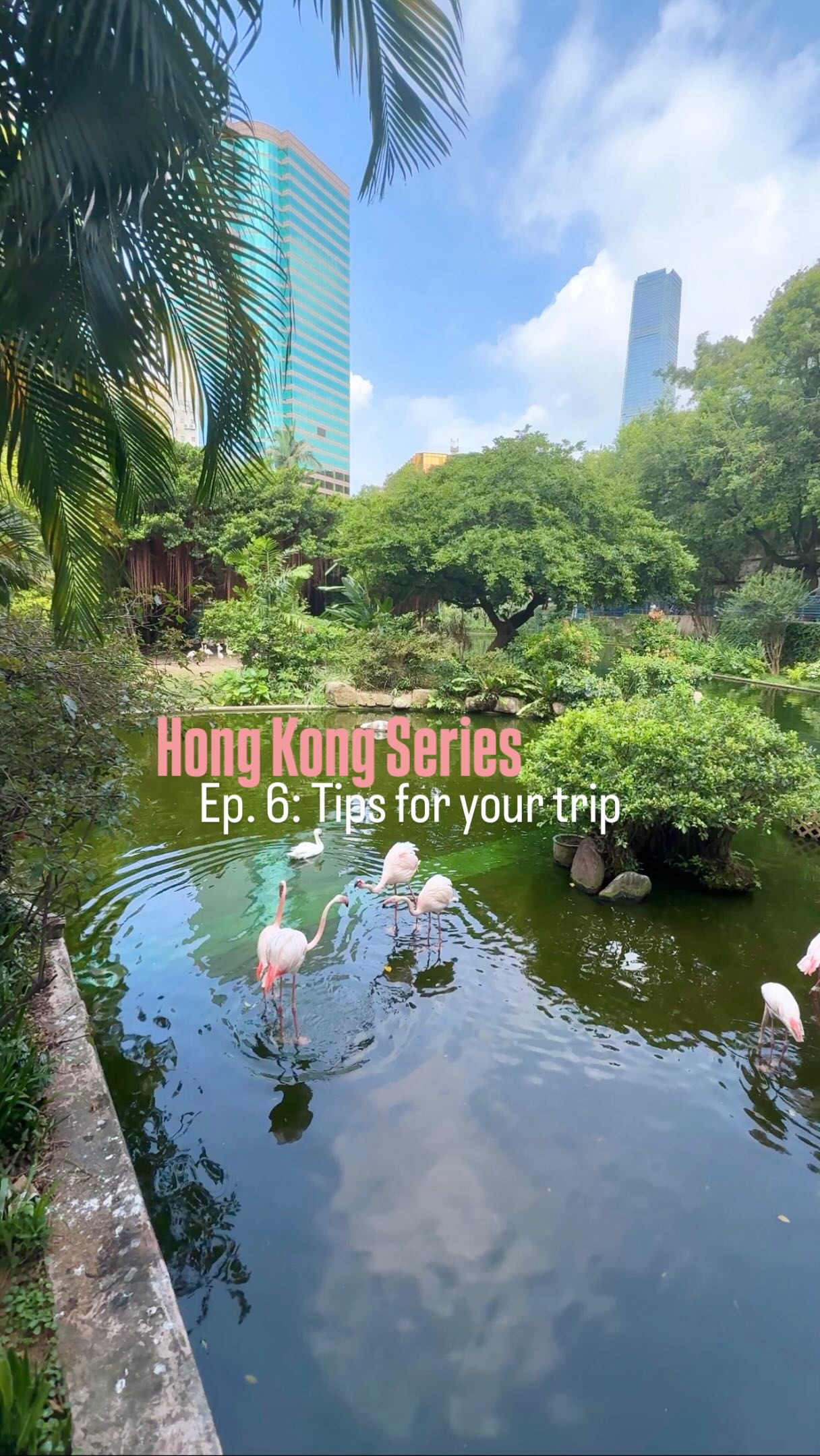 Hong Kong's Top Tourist Attractions