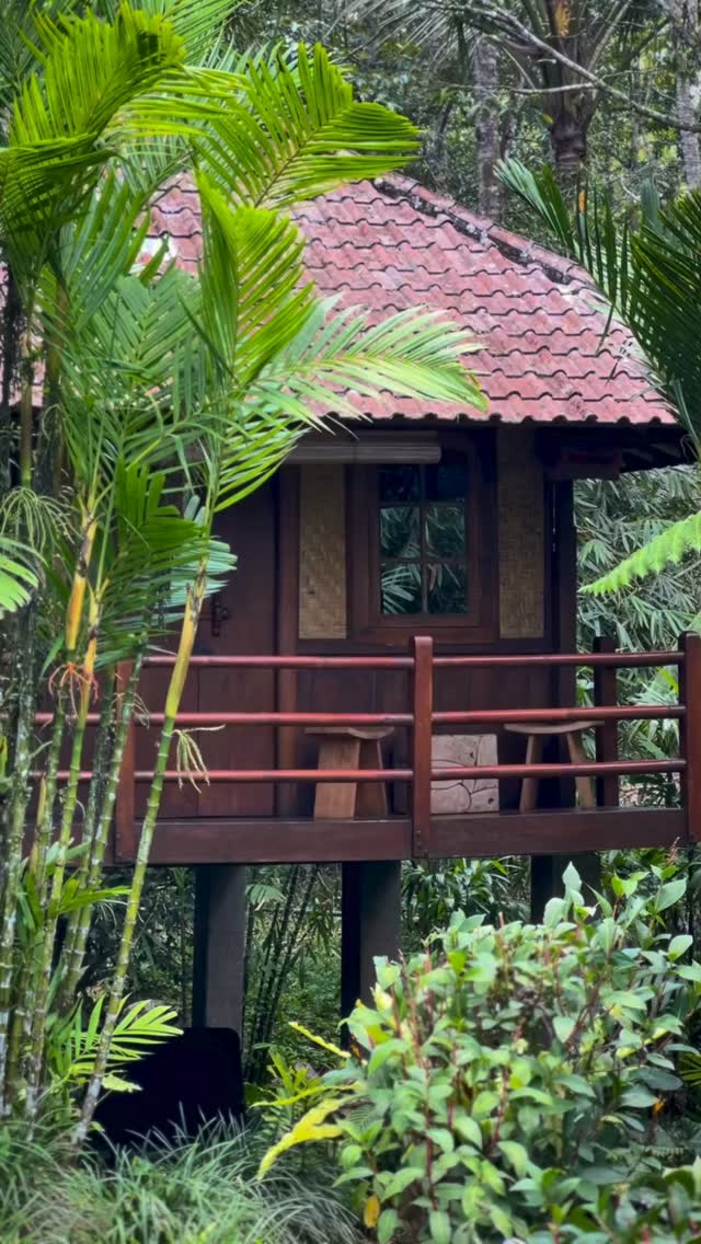 Bali Eco Stay Offers Tranquil Slopeside Retreats