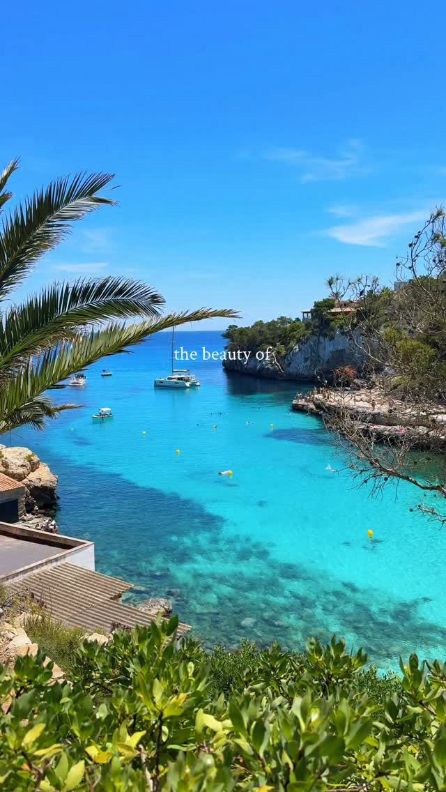 Ibiza's Old Town and Cala Comte Beaches