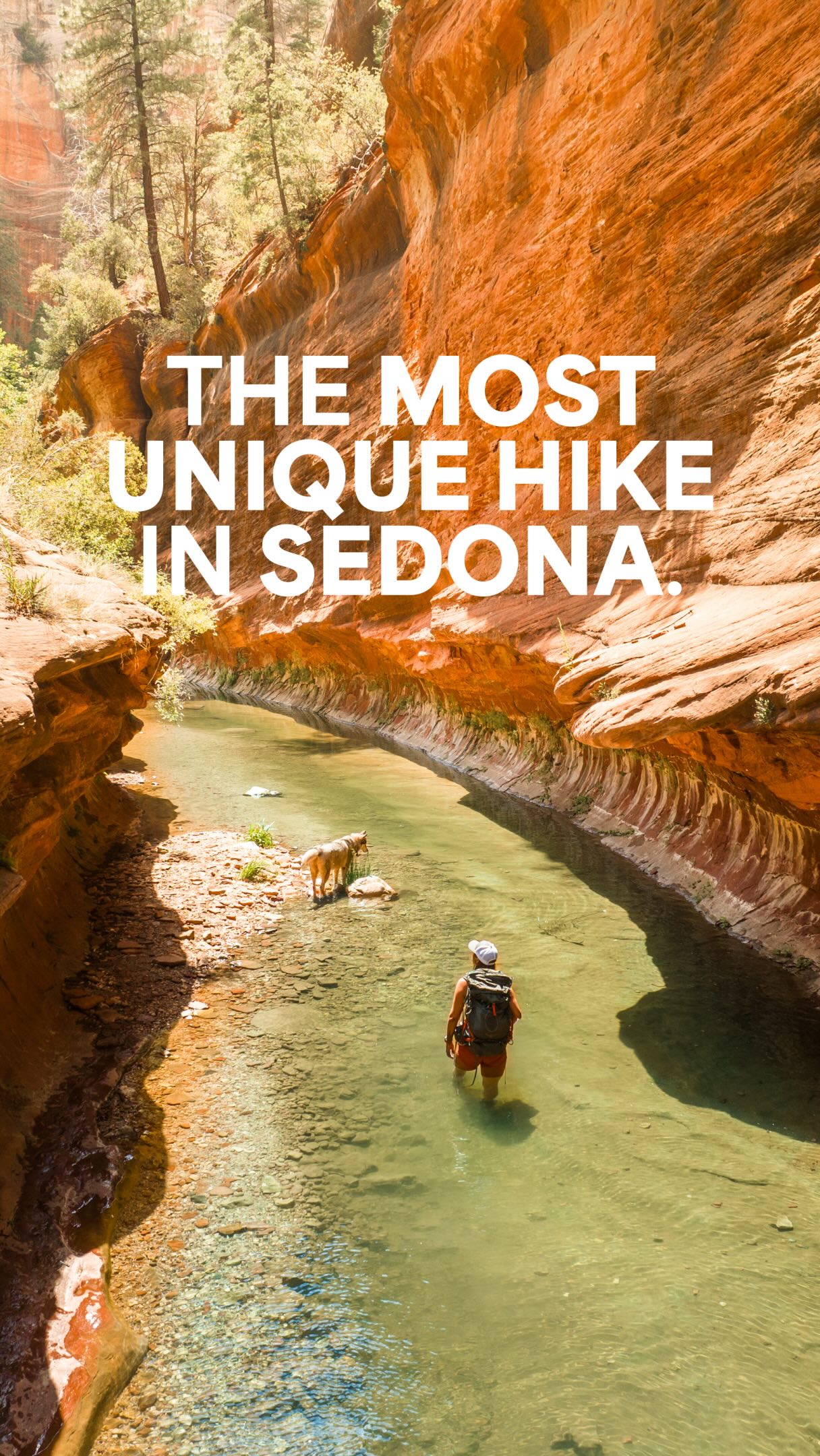Arizona Canyons Offer Water Hikes