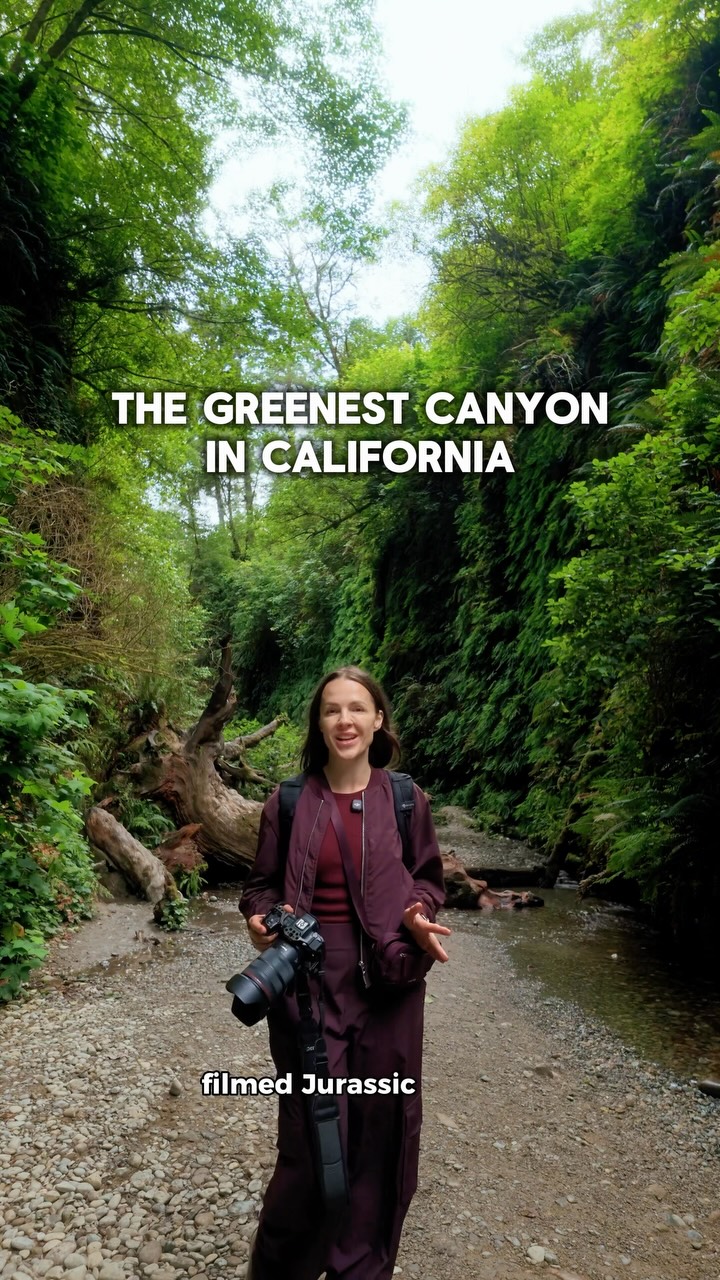 Fern Canyon's Ancient Fern-Covered Walls
