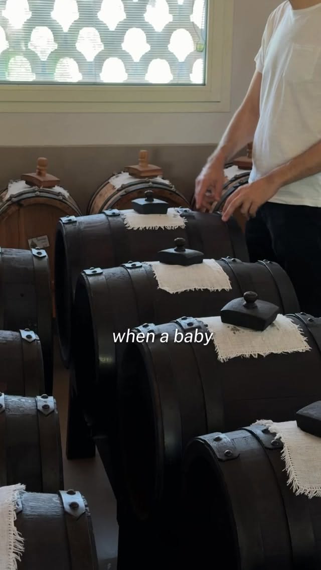 Modena's Balsamic Vinegar Traditions