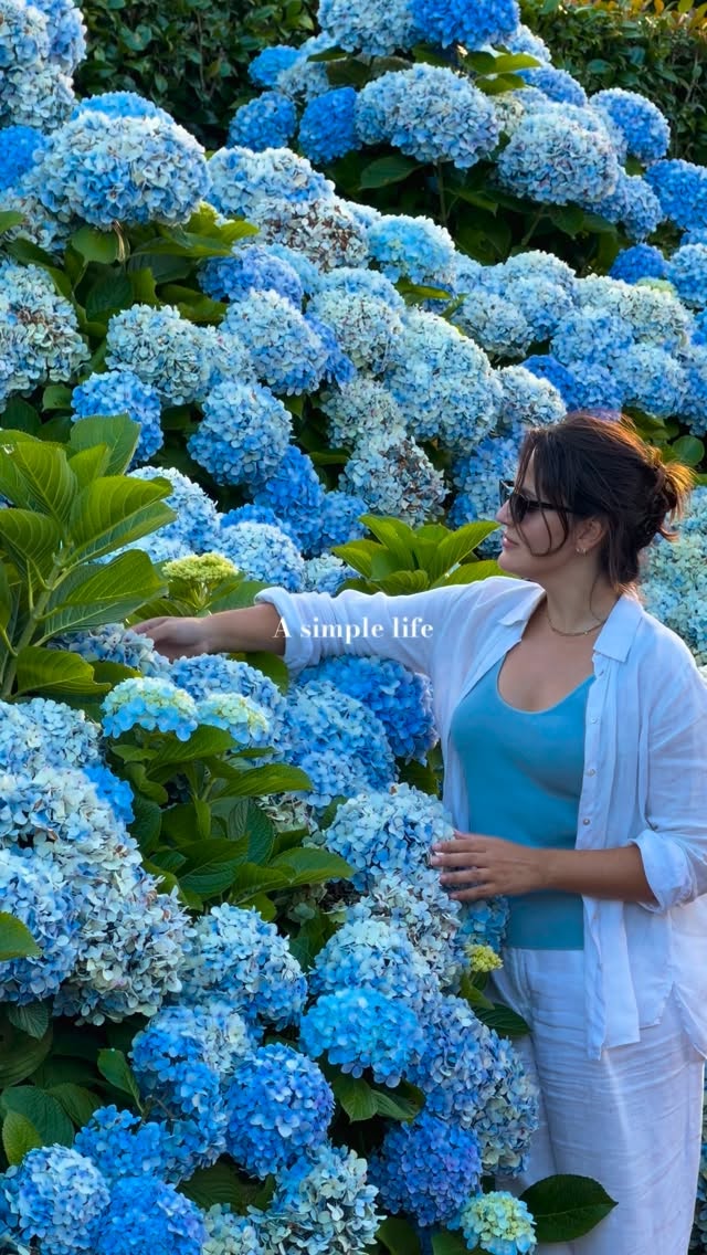 Azores Island's Natural Wonders And Tea Factory
