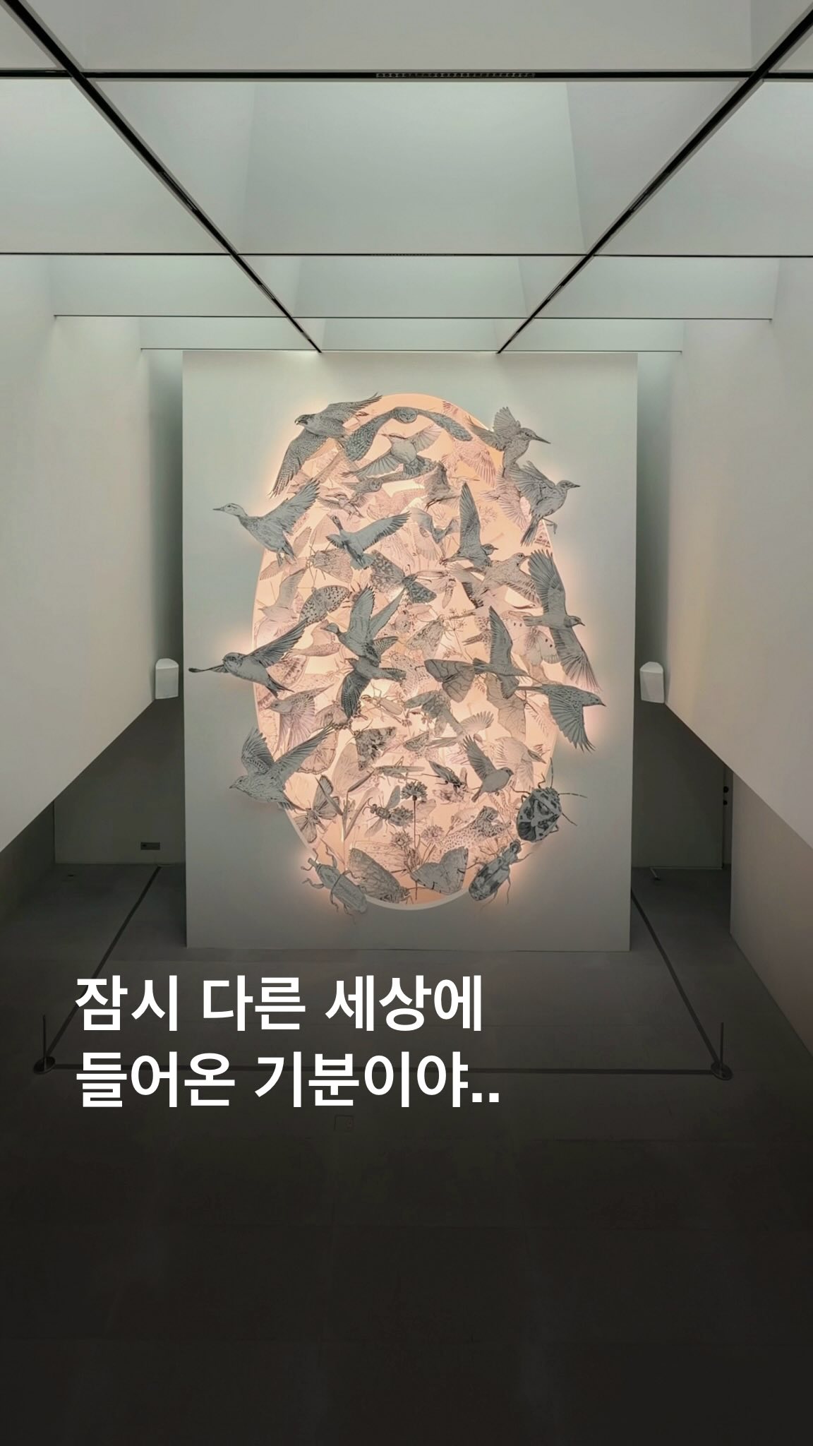 Futura Seoul's Hottest Exhibition Features Mirror Maze