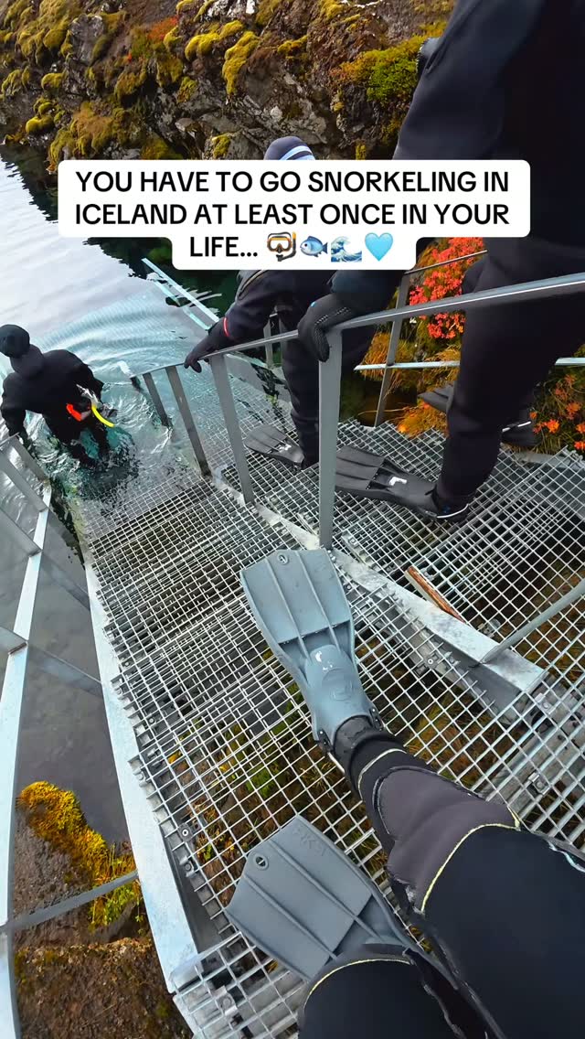 Snorkel Between Tectonic Plates In Iceland