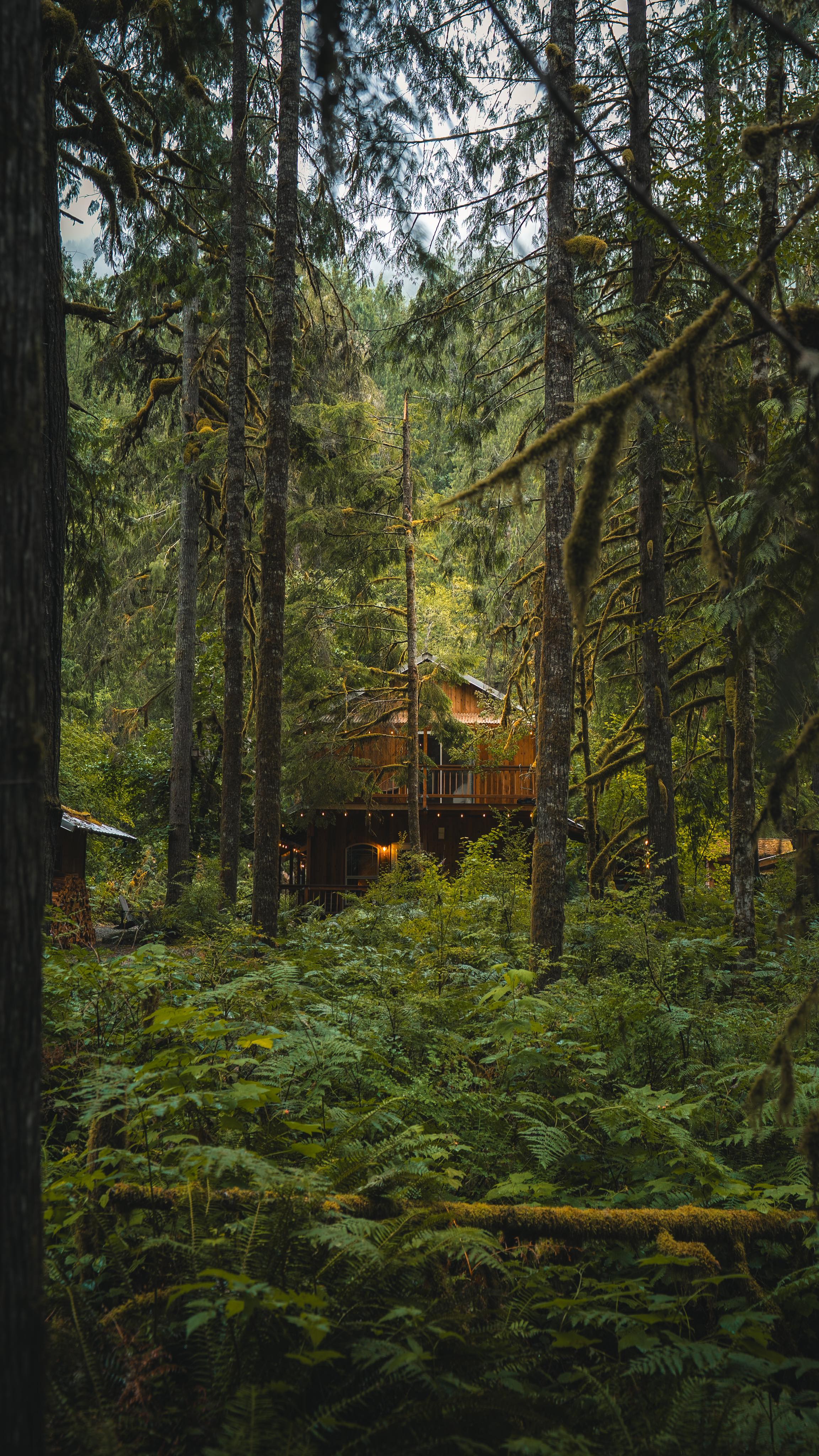 Washington State Cabins Near North Cascades National Park
