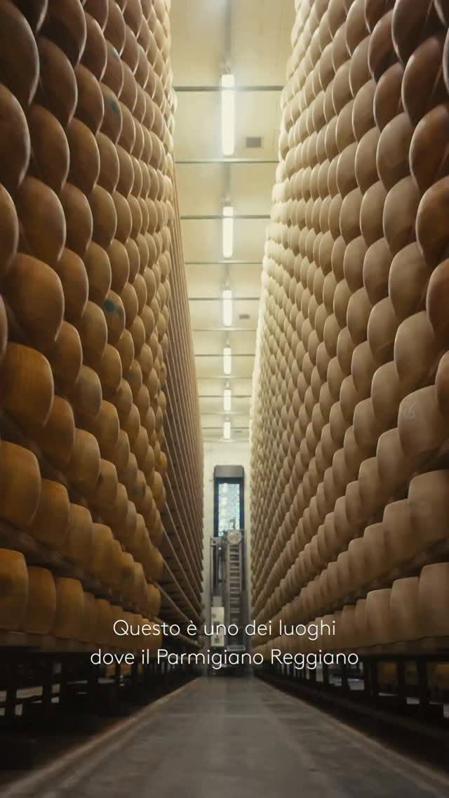 Taste Parmigiano Reggiano and Wine Pairings