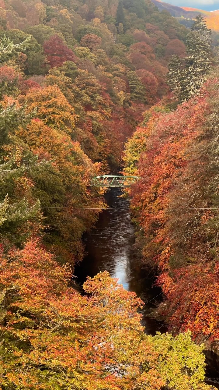 Garry Bridge Offers Stunning Autumn Views