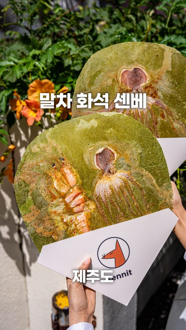 Sennit: Matcha Flavored Fossil Senbei
