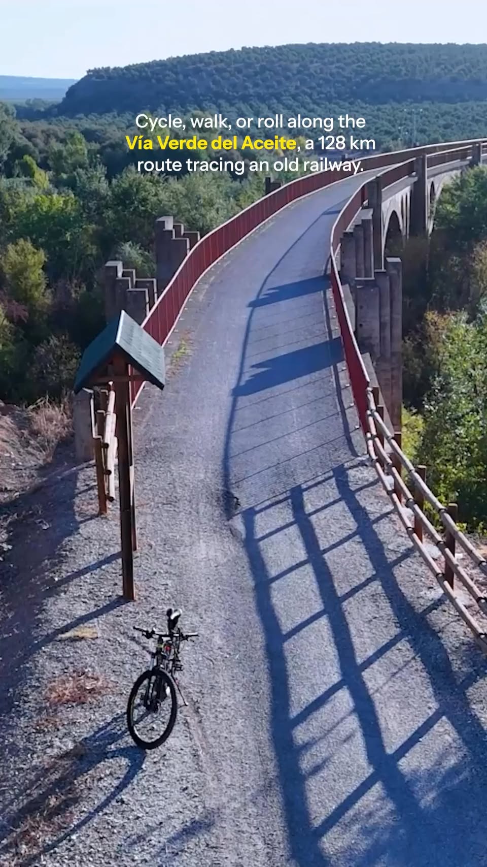 Olive Oil Trail Through Andalusian Countryside