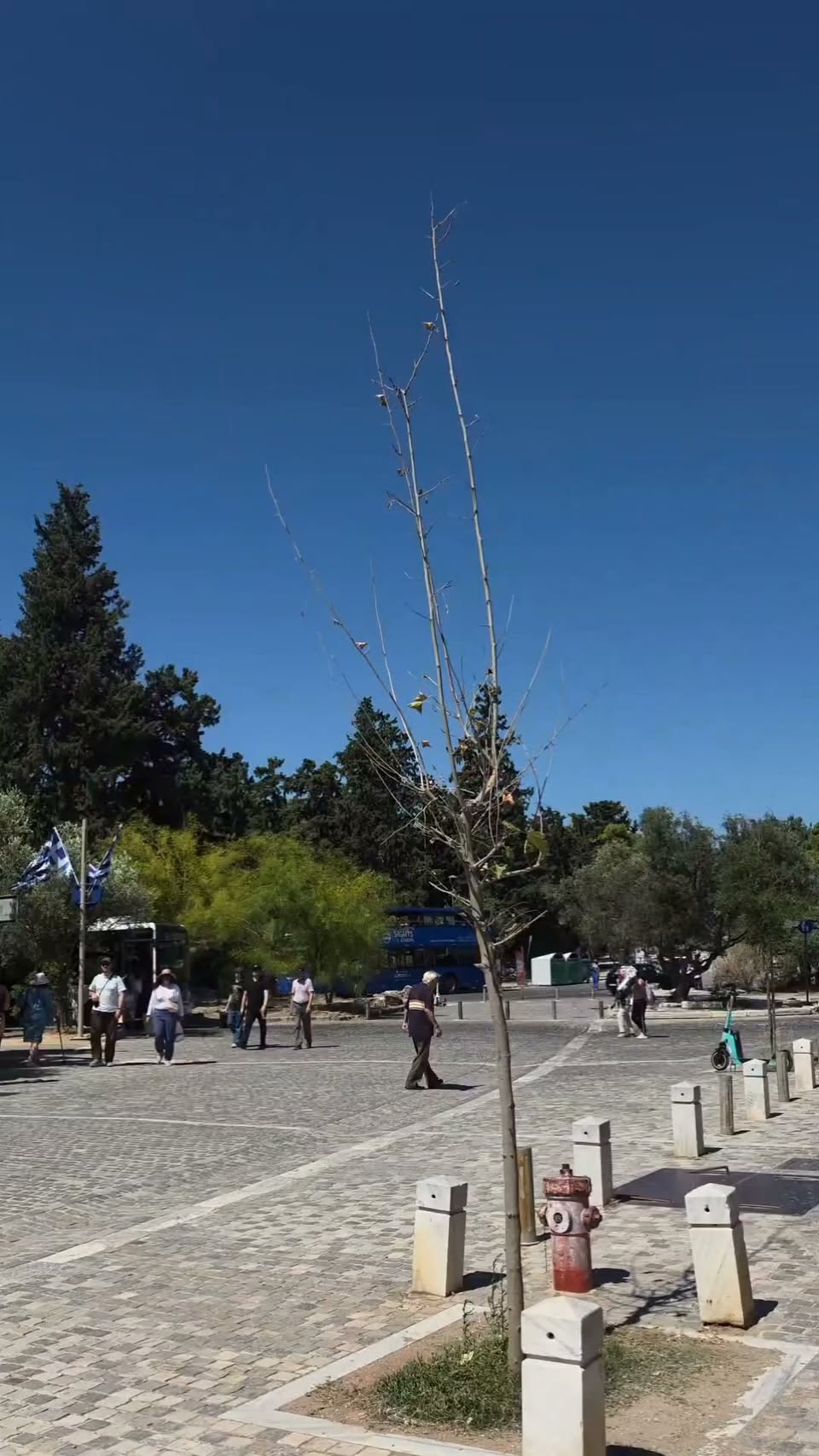 Walking Tour of the Acropolis of Athens