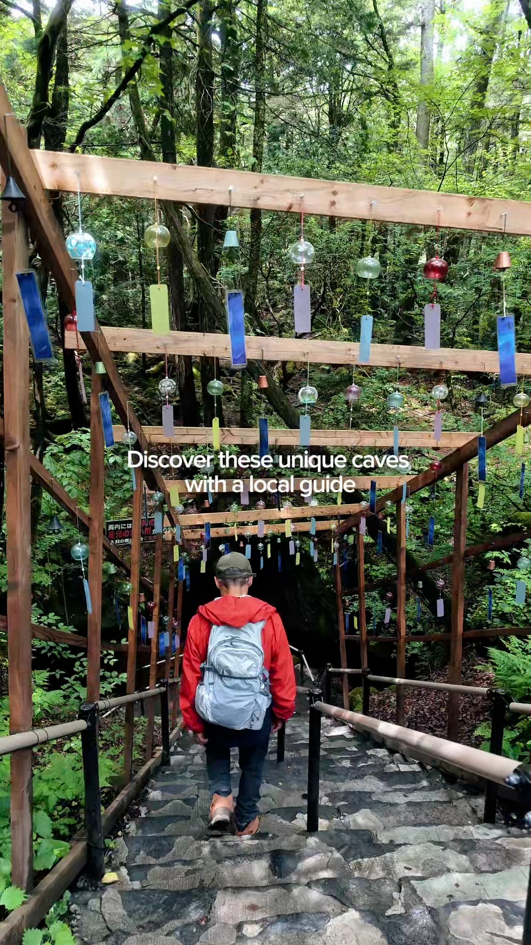 Japanese Lava Caves and Aokigahara Forest Tour