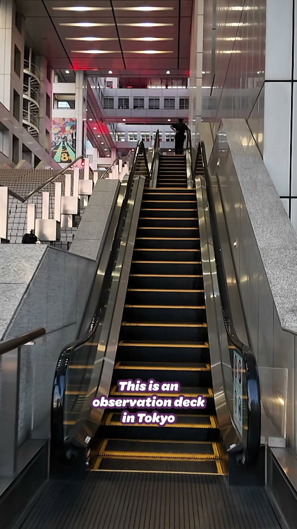 Tokyo's Iconic Towers and Observation Decks