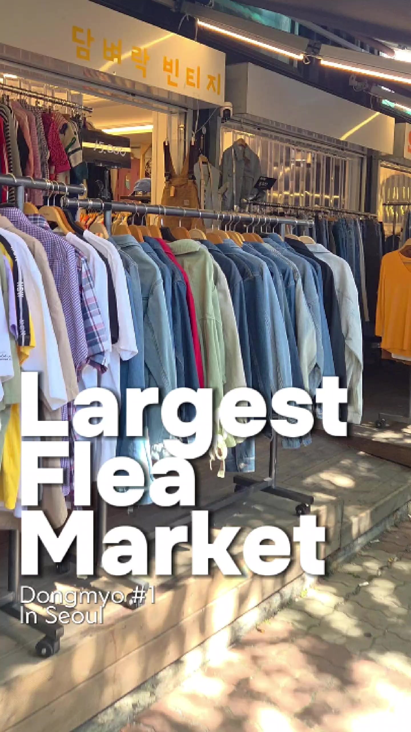 Seoul's Vast Dongmyo Flea Market