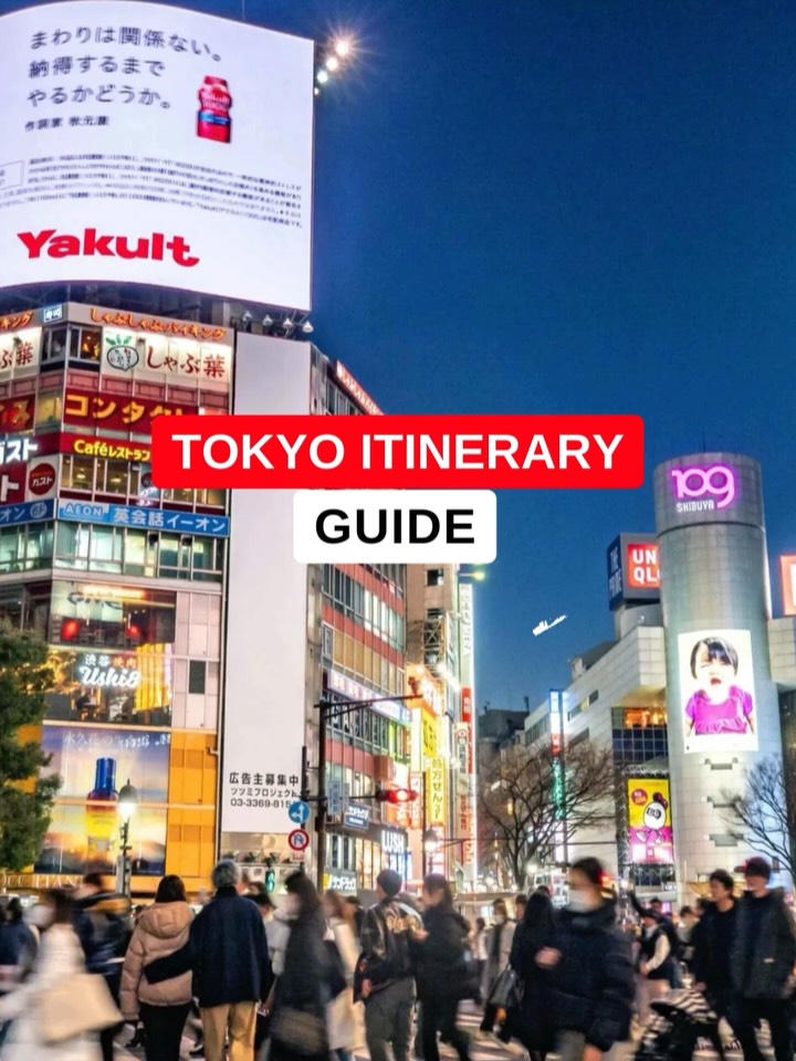 Shibuya District's Top Attractions