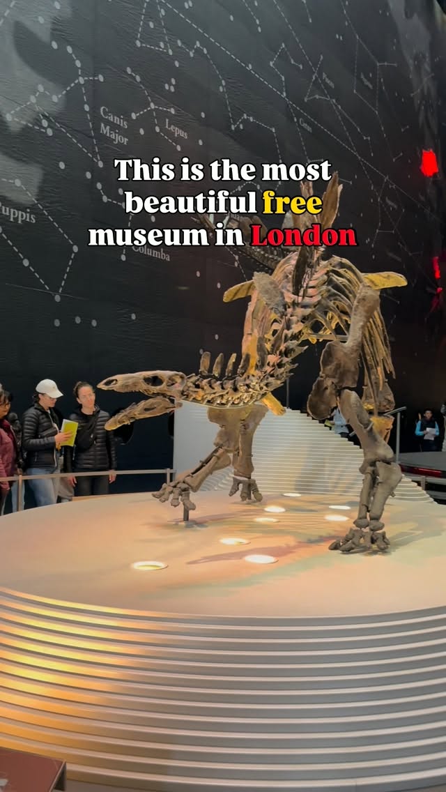 Free Entry Natural History Museum London