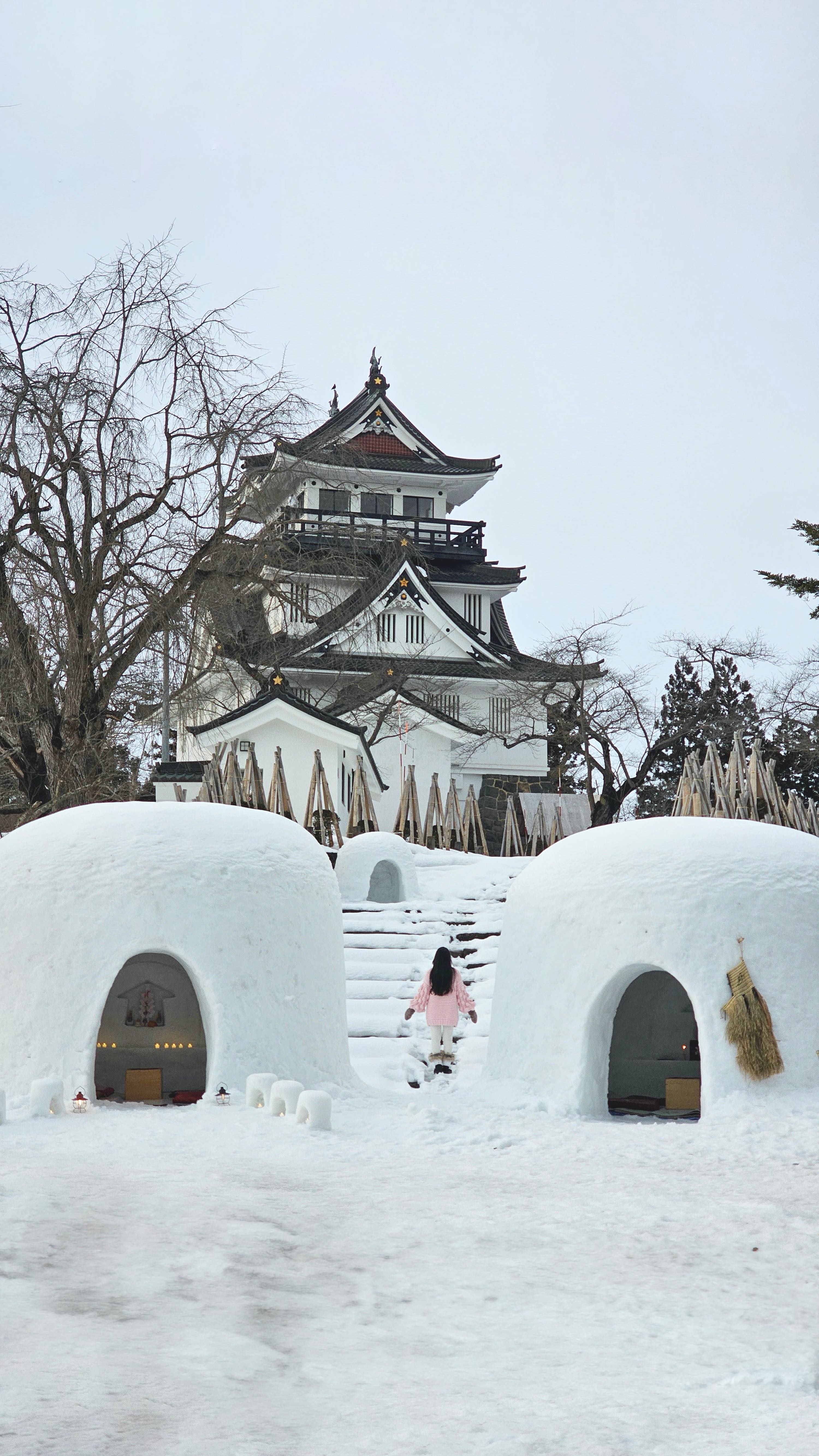 Tohoku Winter Wonders: Snowy Landscapes and Hot Springs