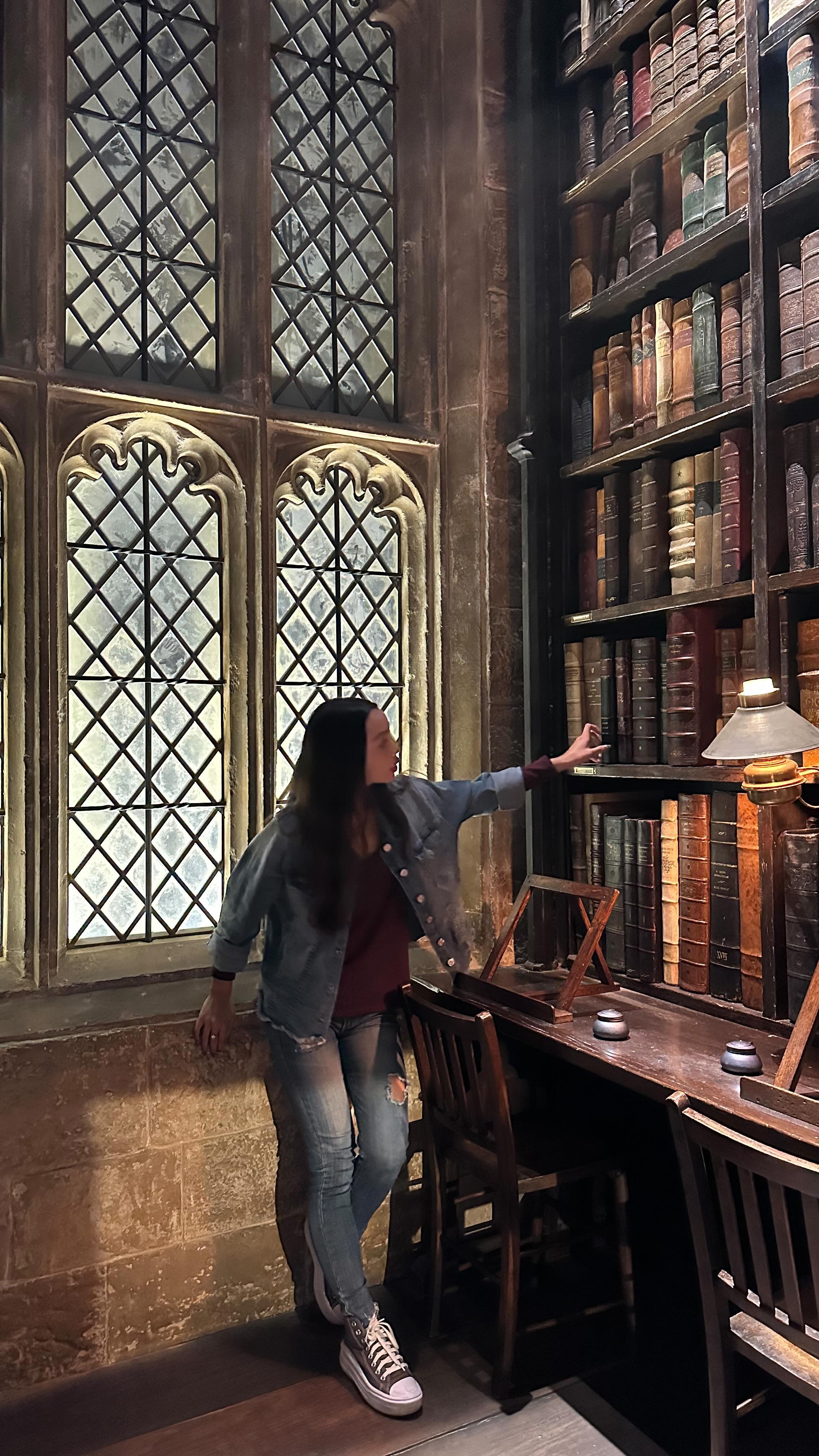 Tokyo's Wizarding World Attractions