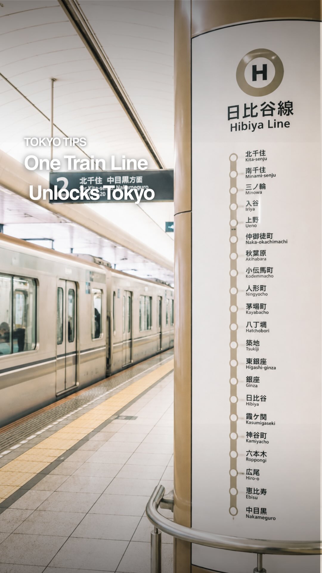 Hibiya Line: Tokyo's Diverse Destinations