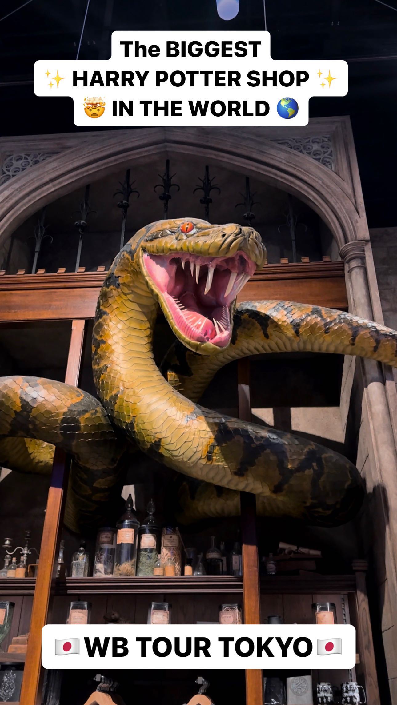 World's Largest Harry Potter Store at Tokyo Tour