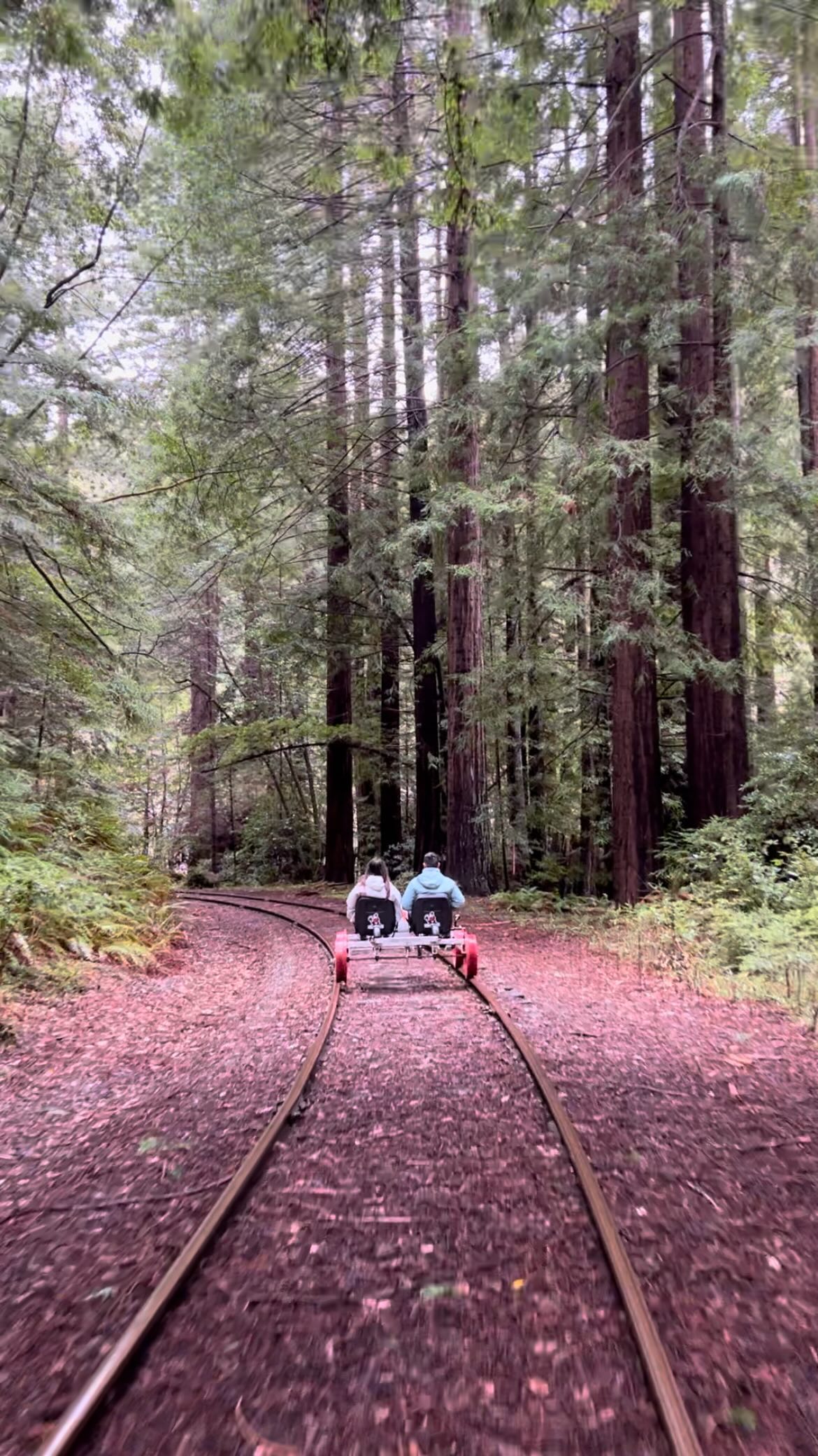 California Adventures: Redwood Rails to Ocean Shores