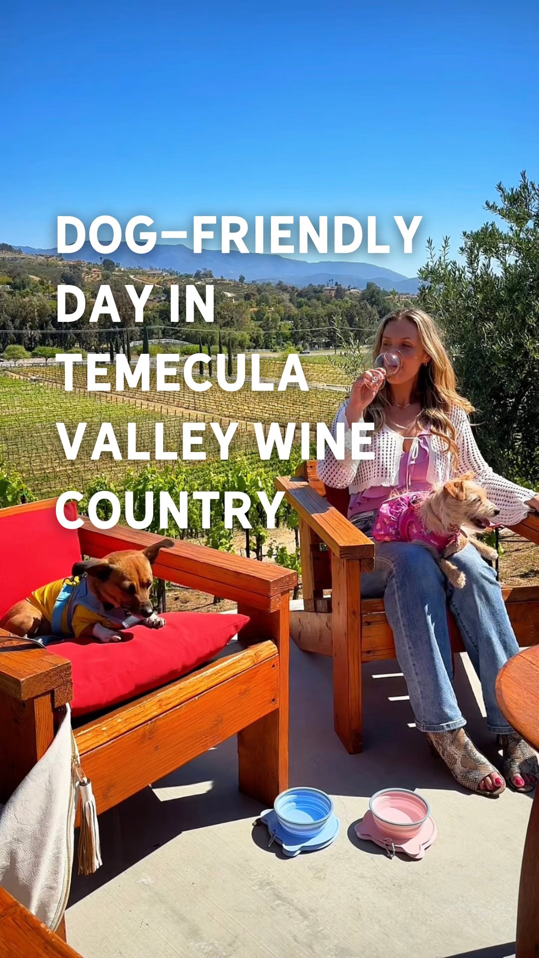 Dog-Friendly Wineries and Restaurants in Temecula