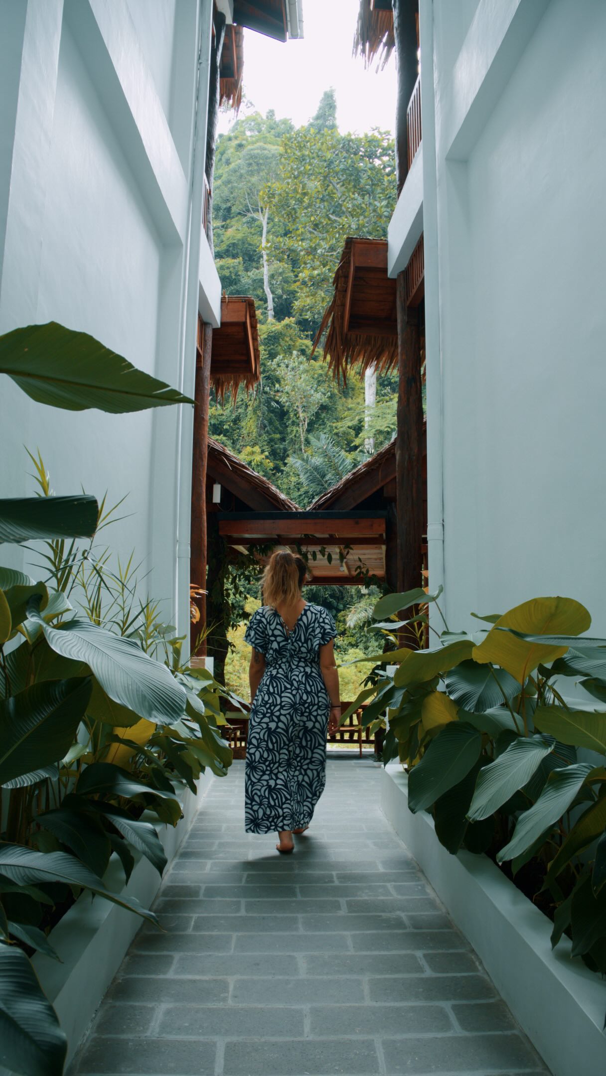 Sumatra Jungle Stays Near Bohorok River