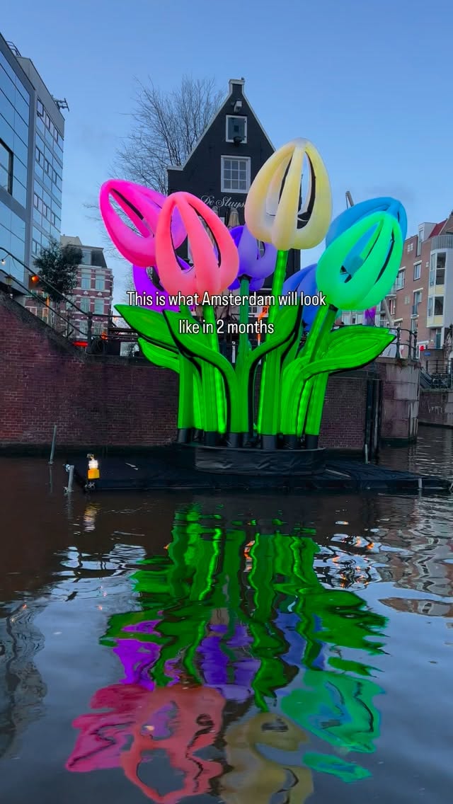 Arden Art Gallery Offers New Perspectives in Amsterdam