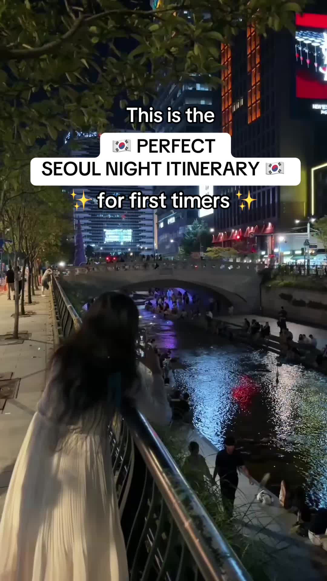 Seoul Nighttime Wonders: Palaces, Markets, and Fountains