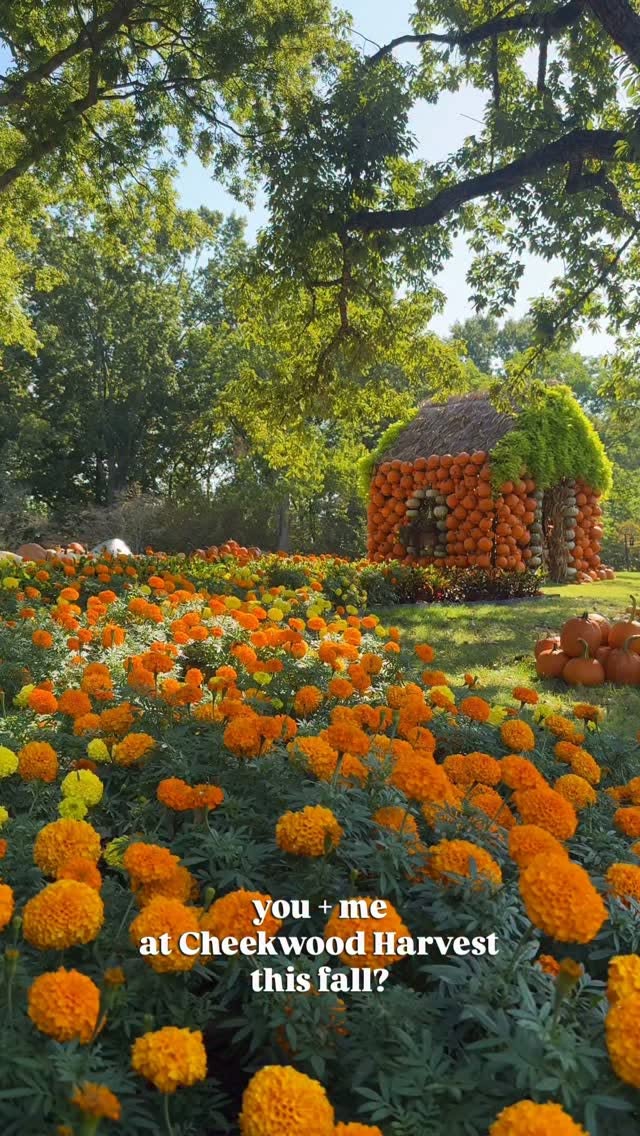 Cheekwood Transforms for Fall Celebration