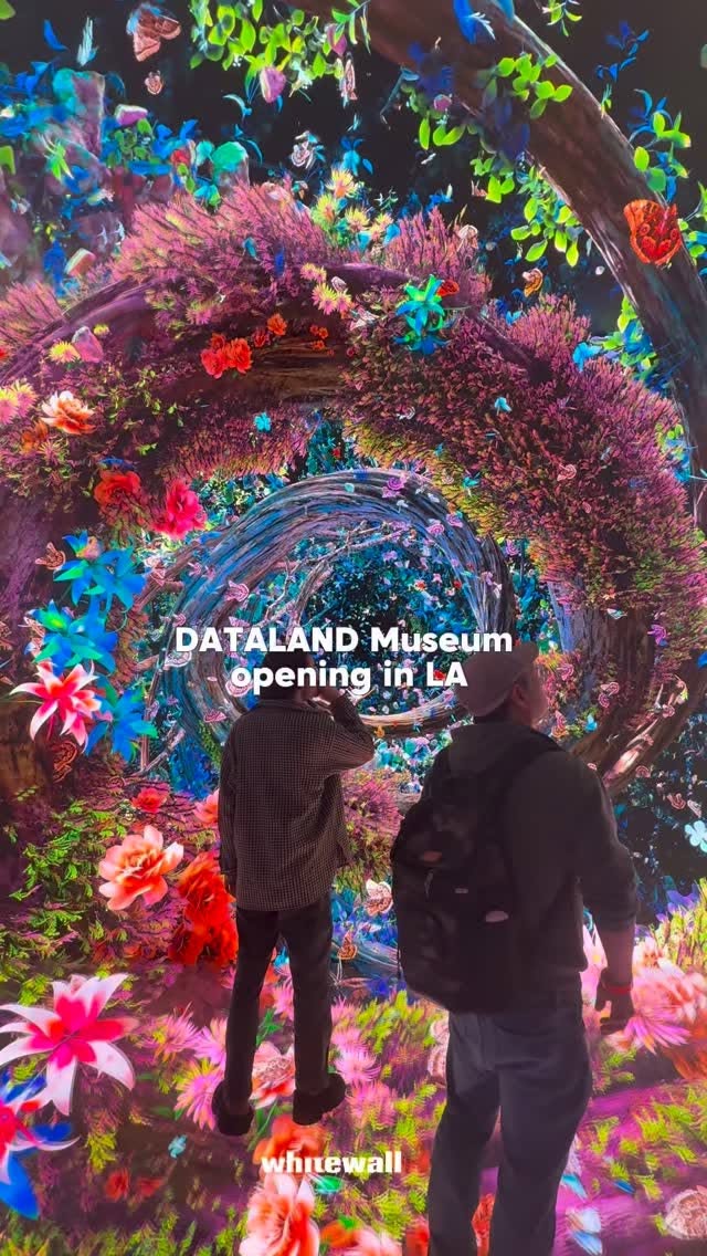 Dataland Museum: Art, Technology, and Emotion