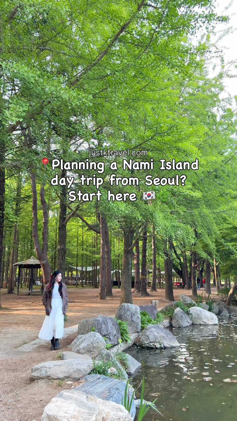 Nami Island Day Trip Tips From Seoul