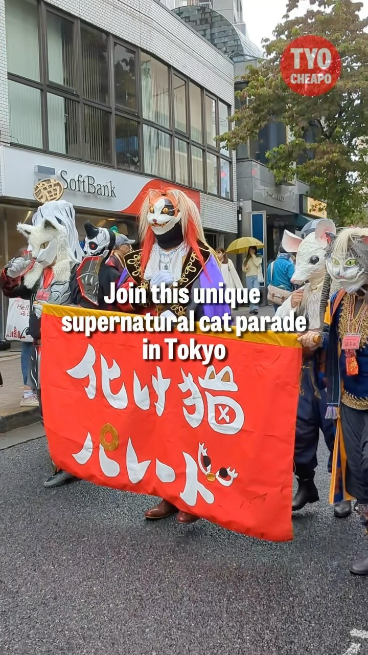 Tokyo's Supernatural Cat Parade in Kagurazaka