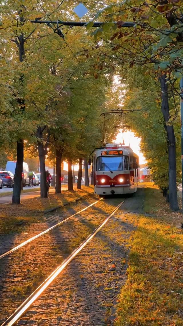 Prague's Parks and Charming Neighborhoods for Fall