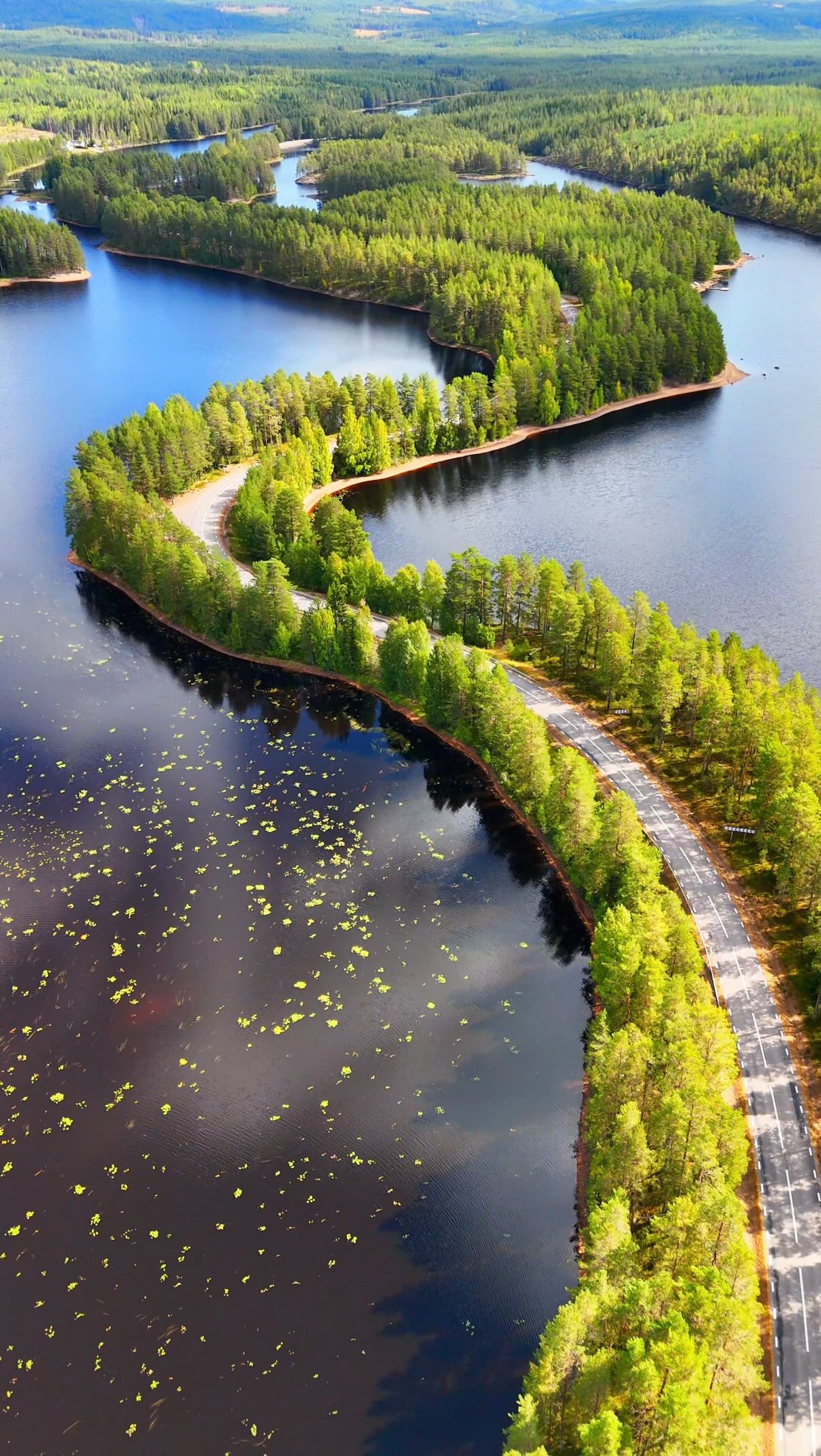 Malingarna: A Swedish Scenic Drive and Picnic Spot