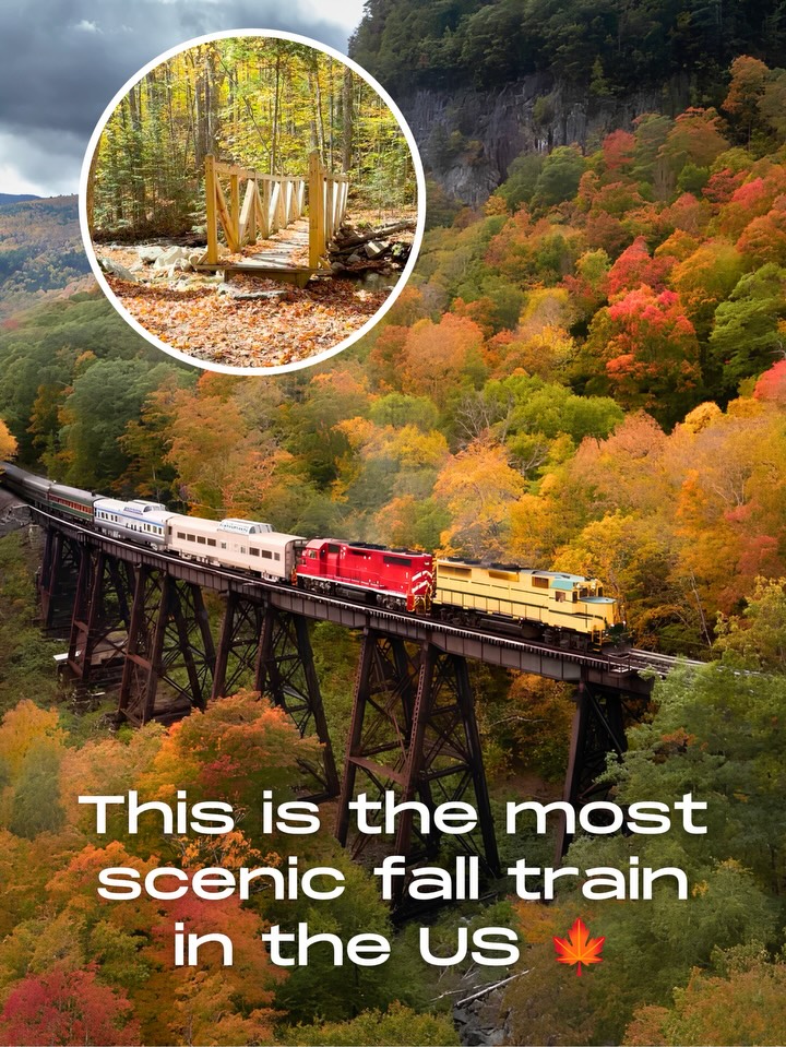 Scenic Train Ride Through White Mountains
